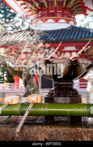 Japanische Wasserabwässer sind Teil des Rituals in allen Shinto-Tempeln in Japan, Kyoto. Stockfoto