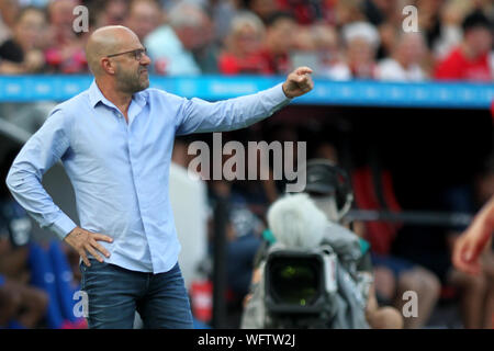 Head Coach Peter Bosz Leverkusen reagiert während dem Bundesligaspiel zwischen Bayer 04 Leverkusen und TSG 1899 Hoffenheim im Bay Arena. (Endstand; Bayer 0:0 TSG 1899 Hoffenheim) Stockfoto