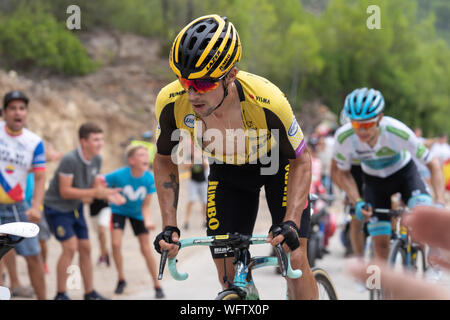 30 augustus 2019 Mas de la Costa, Spanien Radsport Vuelta 2019 30-08-2019: Ronde van Spanje: Onda: Mas de la Costa Jumbo Visma Team, Primoz Roglic, Etappe 7, Vuelta a Espana 2019 Stockfoto