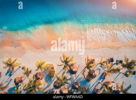 Luftaufnahme von Sonnenschirmen, Palmen auf dem Sandstrand des Ozeans Stockfoto