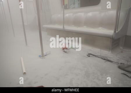 Hongkong, China. 31 Aug, 2019. Hong Kong Anti Auslieferung Bill Proteste. Nach einem Tag mit vielen heftigen Auseinandersetzungen mit der Polizei. Einige Anhänger der Regierung angegriffen Mitglied der drücken Sie auf einen MTR Zug mit vielen pro Demokratie Demonstranten zurück gekämpft. Das Bild zeigt die Szene, die Leute erst einmal den Wagen verlassen hatten. Quelle: David Coulson/Alamy leben Nachrichten Stockfoto