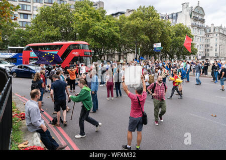 31.Aug 2019 - London, UK. Eine Anti-Brexit Demonstranten mit Plakaten und Bannern Hyde Park Kreisverkehr zum Stillstand gebracht. Stockfoto
