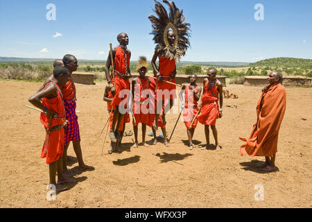 Gruppe von Massai Männer ihre springen Tanzen, Feiern der Ritus der Passage junge Männer in die nächste Phase ihres Lebens, Kenia willkommen zu heißen, Osten Afric Stockfoto