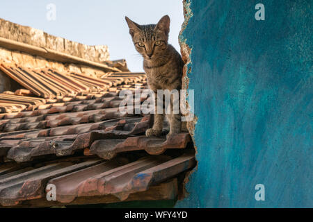 Jeypore, Odisha, Indien Stockfoto