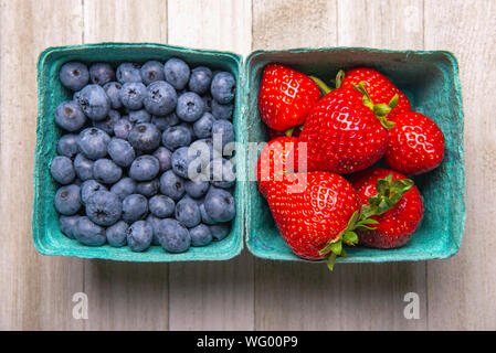 Behälter mit frischen Reifen Blaubeeren und Erdbeeren aus der Farmers Market Stockfoto