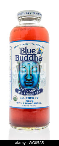 Winneconne, WI - 14. August 2019: eine Flasche Blue Buddha bio Wellness Tee trinken auf einem isolierten Hintergrund Stockfoto