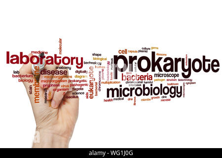 Wort Wolke prokaryote Konzept Stockfoto