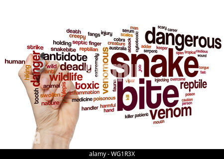 Schlangenbiss Wort cloud Konzept Stockfoto