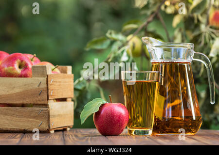 Apfelsaft in Glas und Karaffe mit reifen Früchten auf hölzernen Tisch im Freien. Sommer erfrischendes Getränk Stockfoto