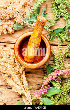 Amaranth oder amaranthus. Heilpflanzen, Kräutermedizin. Amaranth Blütenstände an einem Tisch mit Mörtel Stockfoto