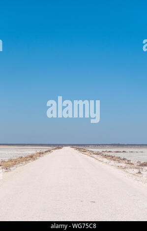 Eine Übersicht über den leeren Raum der Etosha Salzpfanne, Ethosha Nationalpark, Namibia. Stockfoto