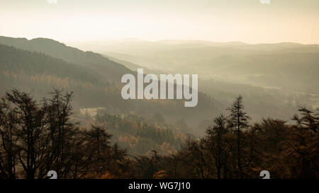 Querformat von Gummers wie in Lake District über schöne Herbst Farbe Wald mit Hazy unlight am späten Nachmittag Stockfoto