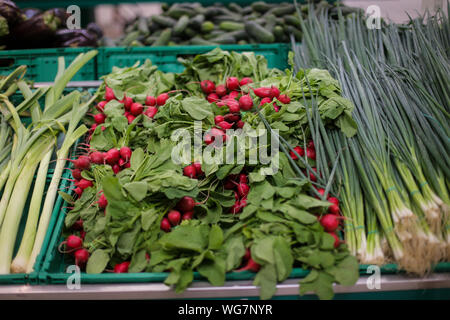 Radieschen und Frühlingszwiebeln auf dem Obst und Gemüse Gang in ein Geschäft. Stockfoto