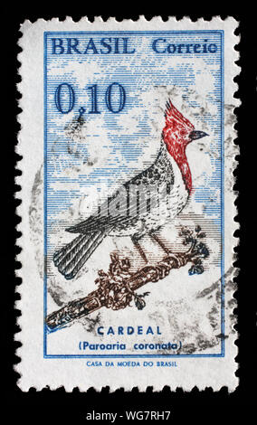 Stempel von Brasilien gedruckt zeigt Red-Crested Kardinal (Paroaria coronata), ca. 1969. Stockfoto