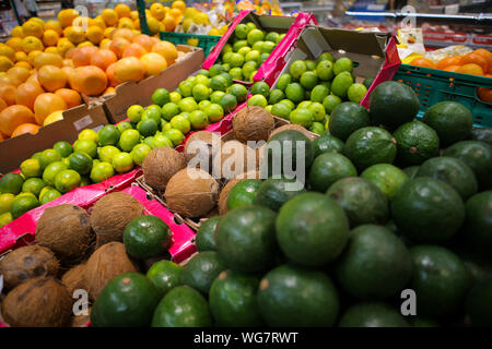 Kokosnüsse, Avocados, Zitronen, Grapefruits, Orangen, Mangos auf dem Obst und Gemüse Gang in ein Geschäft. Stockfoto