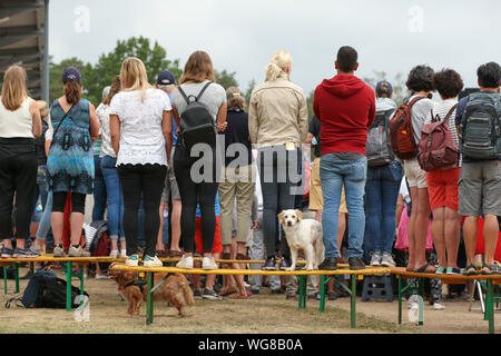 01. September 2019, Niedersachsen, Luhmühlen: Pferdesport, Eventing, Europäische Meisterschaft: Zuschauer stehen auf Bänken und der verfassungsrechtlichen Prüfung ansehen vor dem abschließenden springen. Foto: Friso Gentsch/dpa Stockfoto