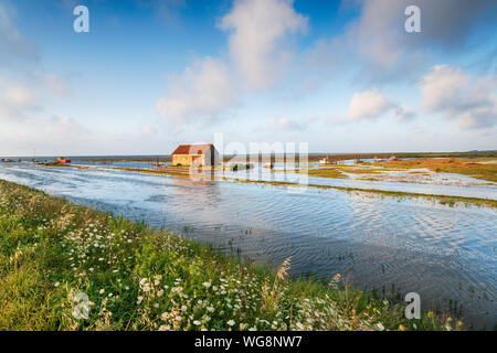 Hohen Springfluten Überschwemmungen den Hafen von thornham an der Küste von Norfolk Stockfoto