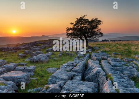 Schönen Sonnenuntergang an der Winskill Steine in der Nähe in den Yorkshire Dales vereinbaren Stockfoto