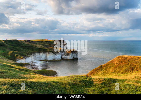 Kreidefelsen am Selwick Bay auf Flamborough Head an der Küste von North Yorkshire Stockfoto