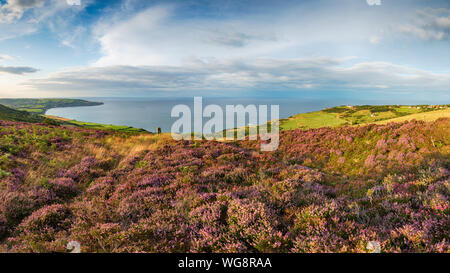 Einen Panoramablick auf die Küste von ravenscar Yorkshire auf der rechten Seite zu Robin Hood's Bay Stockfoto