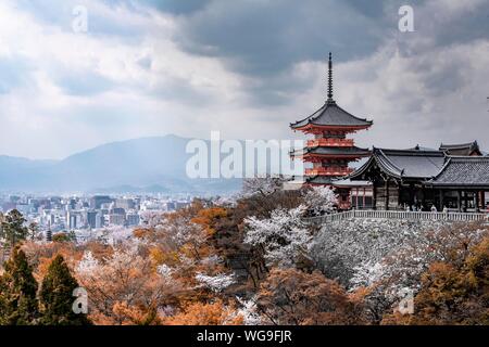 Pagode und Zuigudo-Hall der Kiyomizu-dera Tempel zu Cherry Blossom, buddhistische Tempelanlage, Stadt, Kyoto, Kyoto, Japan Stockfoto