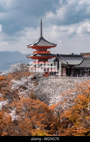 Pagode und Zuigudo-Hall der Kiyomizu-dera Tempel zu Cherry Blossom, buddhistische Tempelanlage, Stadt, Kyoto, Kyoto, Japan Stockfoto