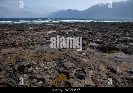 Lanzarote, Kanarische Inseln, vulkanischen Felsen Pools in Caleta de Famara Stockfoto