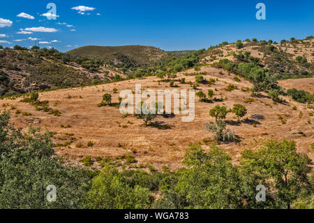 Serra de Serpa Rolling Hills in der Nähe von Stadt Serpa, Distrikt Beja, Baixo Alentejo, Portugal Stockfoto