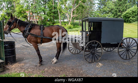 Pferd und Wagen wartet auf Eigentümer gebunden geparkt Stockfoto