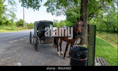 Pferd und Wagen wartet auf Eigentümer gebunden geparkt Stockfoto