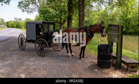 Pferd und Wagen wartet auf Eigentümer gebunden geparkt Stockfoto