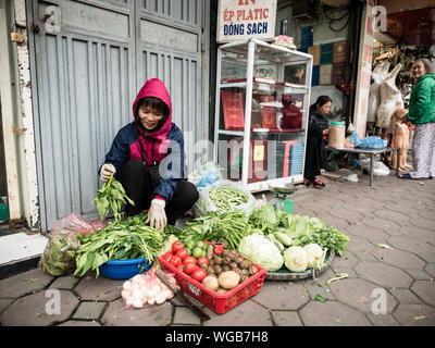 Vietnamesische Frauen Gemüse Anbieter in Hanoi Street Market sitzen, Hanoi, Vietnam Stockfoto