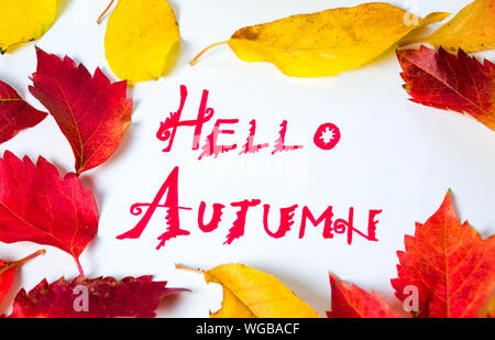 Hallo Herbst Kalligraphie Hinweis mit Laub auf weißem Papier Stockfoto