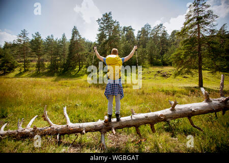 Kaukasier Männlich Wanderer mit Rucksack standnig auf einen umgestürzten Baum während Wandern an einem sonnigen Tag Stockfoto