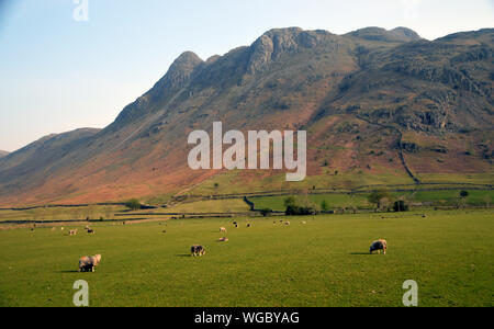 Die wainwrights Hecht o'Stickle & Loft Crag Teil des Langdale Pikes aus der Spur zu Hocker Ende Farm, Nationalpark Lake District, Cumbria, England Stockfoto