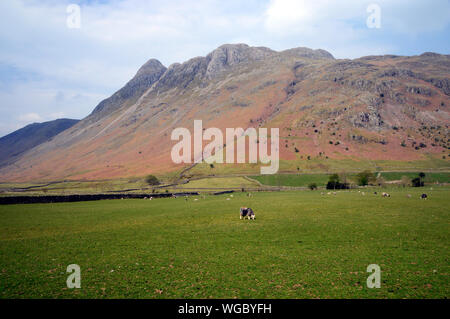 Die wainwrights Hecht o'Stickle & Loft Crag Teil des Langdale Pikes aus der Spur zu Hocker Ende Farm, Nationalpark Lake District, Cumbria, England Stockfoto