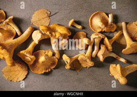 Wald Pfifferlinge, Roh ungekocht, mit gelben Blätter im Herbst über braune Textur Hintergrund. Flach, Platz. Herbst banner Stockfoto