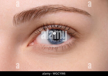 Close up blue eye mit natürlichen Make-up an der Seite suchen, Makroaufnahme mit perfekter Haut Stockfoto