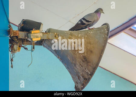 Tauben ein Nest gebaut und ruhen auf dem alten Horn Lautsprecher an das Gebäude Stange befestigt. Stockfoto