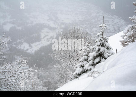 Starker Schneefall in den Bergen, Schnee in Flocken fallen, Bäume am Berghang mit Schnee bedeckt Stockfoto