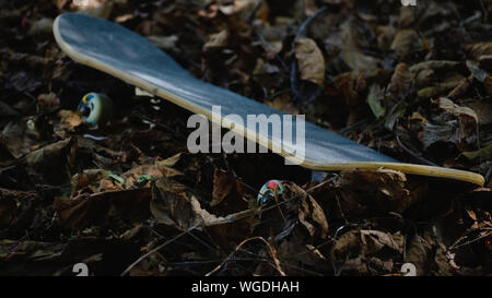 Skateboard auf einen gefallenen Blätter Stockfoto