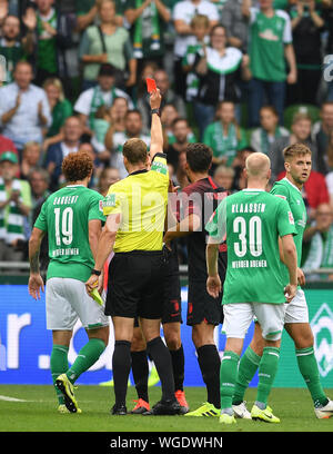 01. September 2019, Bremen: Fußball: Bundesliga, Werder Bremen - FC Augsburg, Spieltag 3: Referee Sören Störche zeigt Augsburg Stephan Lichtsteiner die gelb-rote Karte. Werders Josh Sargent (l), Davy Klaasen und Niclas Füllkrug (r) stand neben ihm. Foto: Carmen Jaspersen/dpa - WICHTIGER HINWEIS: In Übereinstimmung mit den Anforderungen der DFL Deutsche Fußball Liga oder der DFB Deutscher Fußball-Bund ist es untersagt, zu verwenden oder verwendet Fotos im Stadion und/oder das Spiel in Form von Bildern und/oder Videos - wie Foto Sequenzen getroffen haben. Stockfoto