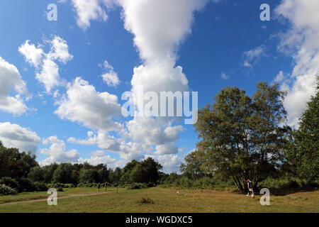 Headley Heath, Großbritannien. 1. September 2019. Der meteorologische Kalender definiert den ersten Tag der Herbst als am 1. September. Aber Headley Heide, in der Nähe von Epsom, Surrey, es war ein schöner Morgen Sonnenschein, Wärme und blauem Himmel. Credit: Julia Gavin/Alamy leben Nachrichten Stockfoto