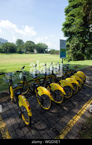 Taiping, Malaysia - 22 Jun, 2018: Fahrrad-sharing Service für die Vermietung an zu niedrigen Rate an um Taiping See Garten, Taiping, Malaysia - eine lockere Fahrt Stockfoto