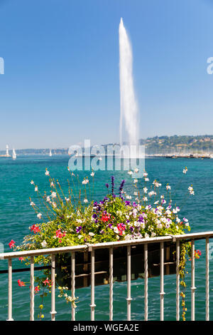 Bunte Blume Korb auf einem Zaun, hohen Brunnen Jet d'Eau im Hintergrund in Genf, Schweiz Stockfoto