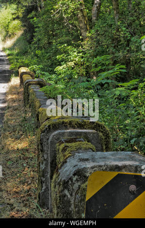 Eine Brücke aus den 1920er Jahren, auf alten US 101, über den Smith River, in Del Norte County, Kalifornien Stockfoto