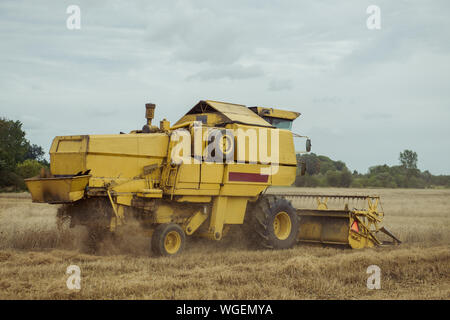 Enge Sicht moderner Harvester in Aktion kombinieren. Sommer Erntezeit Stockfoto