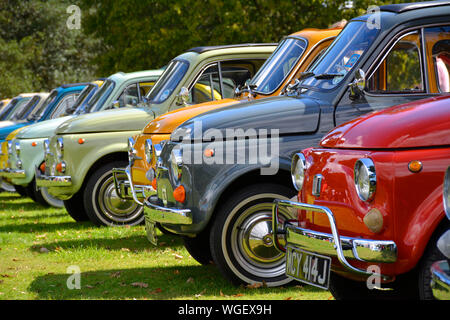 Bunte Line up der klassischen Fiat 500 Autos an einem Auto Show, Großbritannien Stockfoto