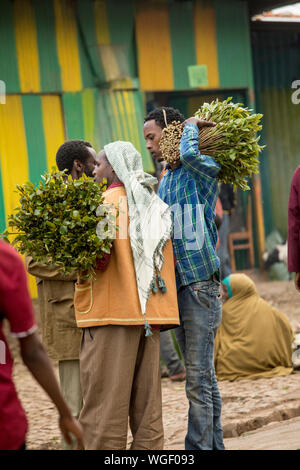 HARAR, Äthiopien - 26. MÄRZ 2017: Händler kaufen und verkaufen Qat, ein Reizmittel vieler Menschen in Äthiopien und Somalia gekaut. Stockfoto