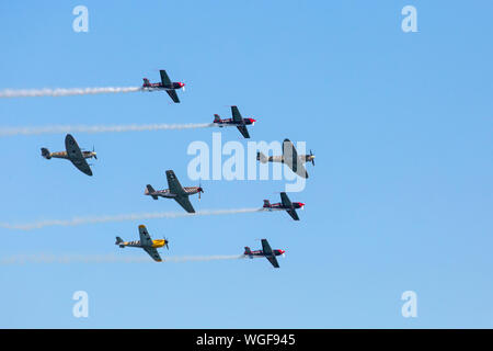 Bournemouth, Dorset UK. 1. September 2019. Ultimative Warbird Flüge (Buchon, Spitfire, P-47D Thunderbolt und Mustang) werden durch die Klingen wie die acht auf eine ehrfürchtige Anzeige die Massen am letzten Tag der Bournemouth Air Festival auf einem schönen warmen sonnigen Tag zu begeistern, beigetreten. Credit: Carolyn Jenkins/Alamy leben Nachrichten Stockfoto